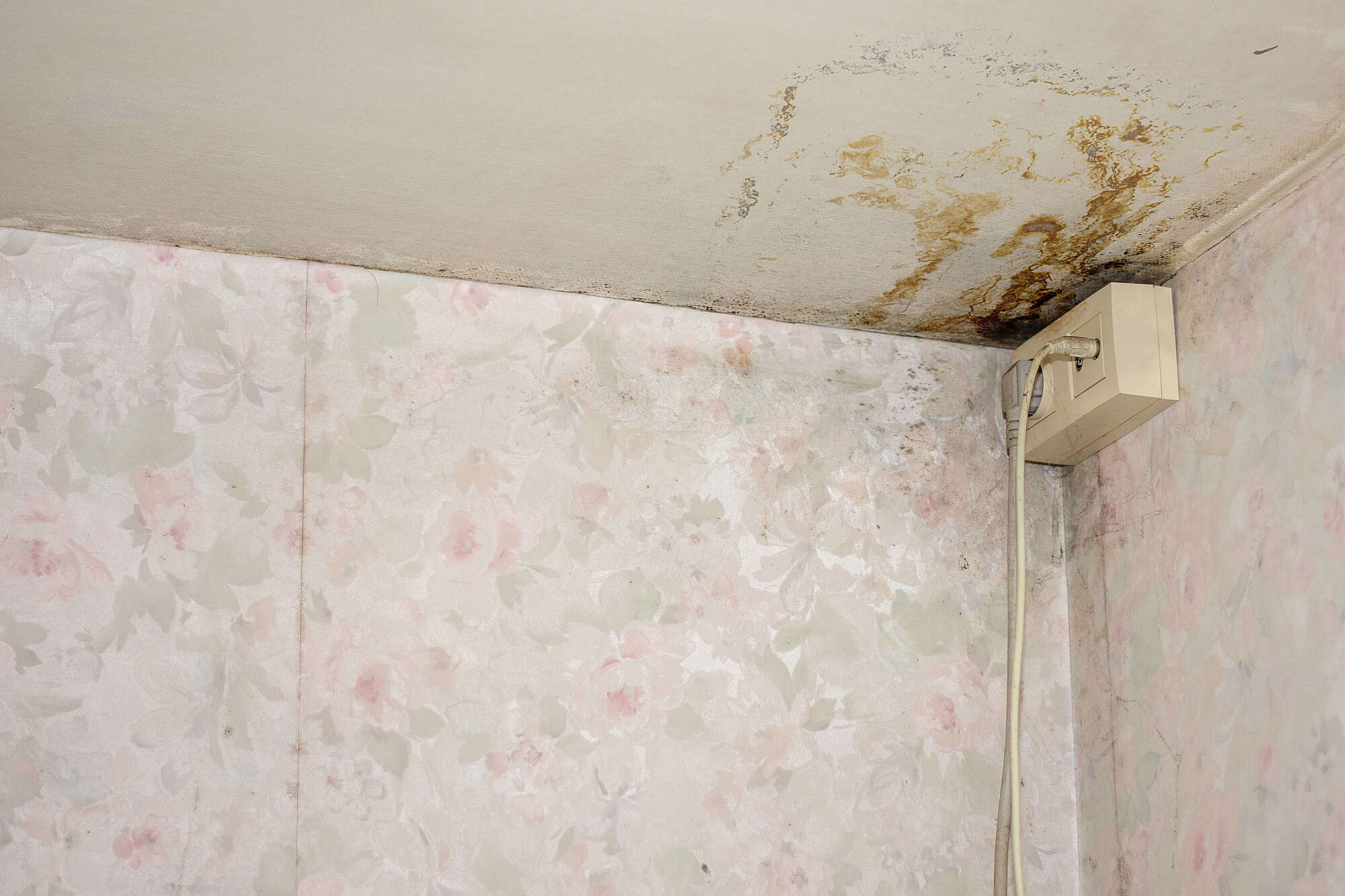 aqua protect schimmel in slaapkamer aanpakken