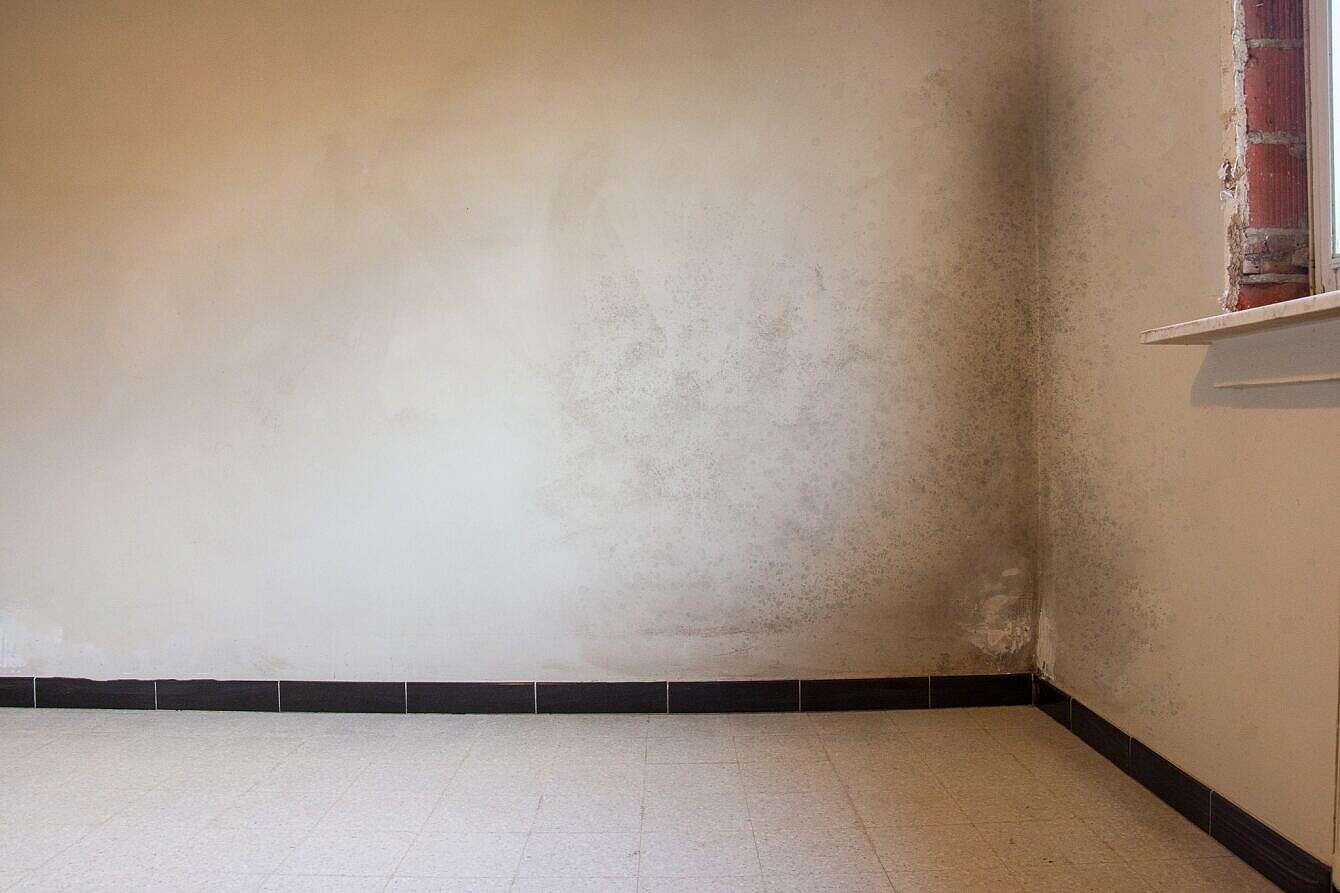 schimmel bij slechte ventilatie